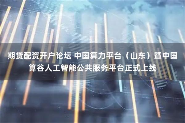 期货配资开户论坛 中国算力平台（山东）暨中国算谷人工智能公共服务平台正式上线