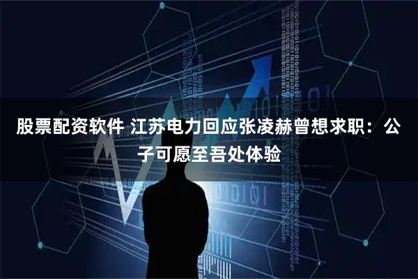 股票配资软件 江苏电力回应张凌赫曾想求职：公子可愿至吾处体验