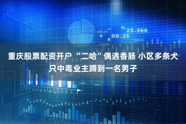 重庆股票配资开户 “二哈”偶遇香肠 小区多条犬只中毒业主蹲到一名男子
