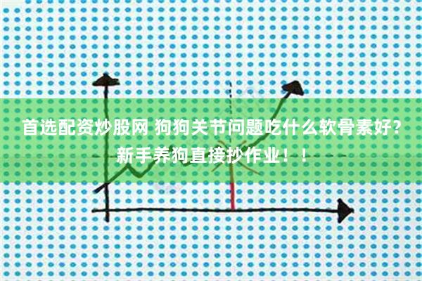 首选配资炒股网 狗狗关节问题吃什么软骨素好？新手养狗直接抄作业！！