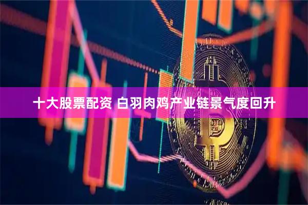 十大股票配资 白羽肉鸡产业链景气度回升