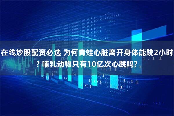 在线炒股配资必选 为何青蛙心脏离开身体能跳2小时? 哺乳动物只有10亿次心跳吗?