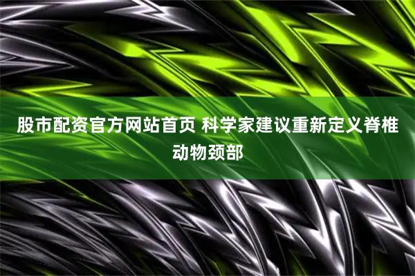 股市配资官方网站首页 科学家建议重新定义脊椎动物颈部